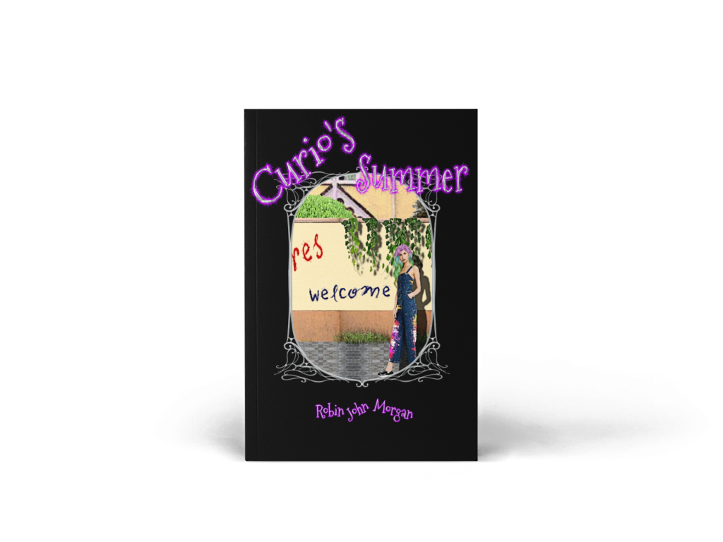 Curio's Summer. (The Curio Chronicles 2) By Robin John Morgan.